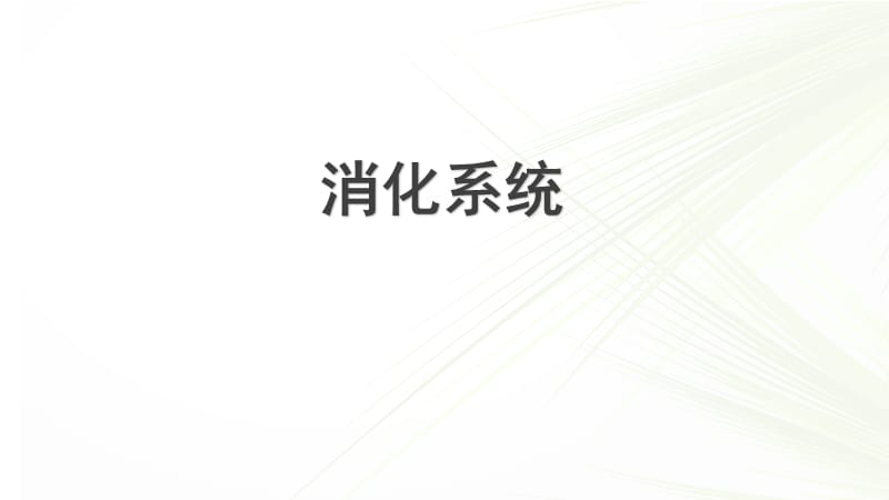 系统解剖学之消化系统.ppt_第1页