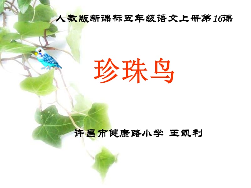 珍珠鸟说课稿.ppt_第1页