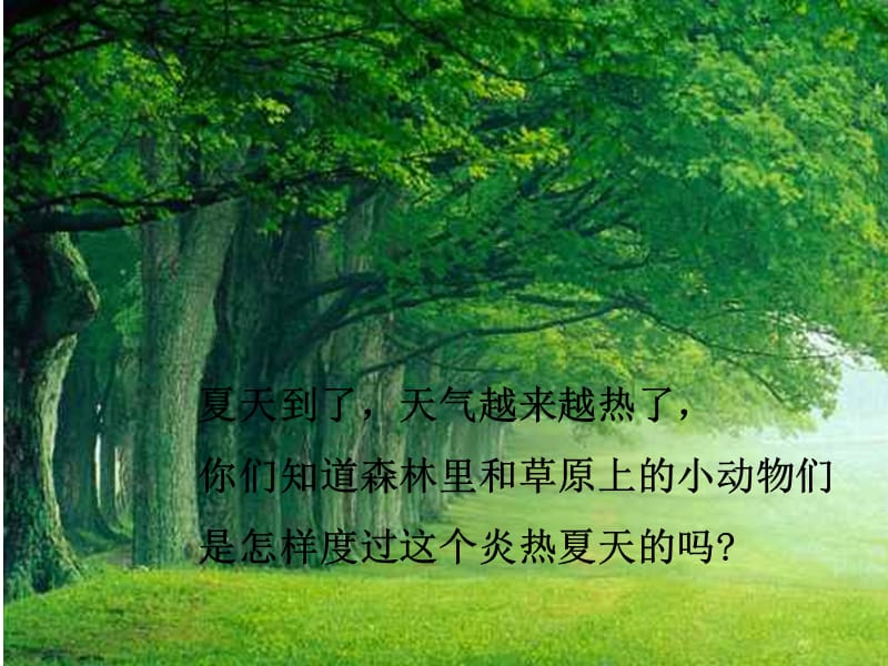 《防暑有妙招》PPT课件.ppt_第2页