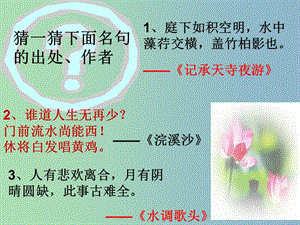 九年級(jí)語文下冊(cè) 6.25《詩詞六首》江城子 密州出獵課件2 語文版.ppt