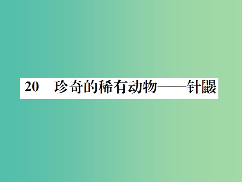 七年级语文下册 第五单元 20《珍奇的稀有动物——针鼹》教学课件 （新版）语文版.ppt_第1页