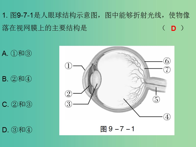 中考生物总复习 第九单元 专题训练七 人体生命活动的调节和对生物圈的影响课件.ppt_第2页