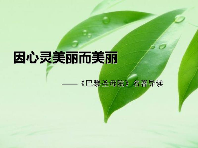 巴黎圣母院优秀课件.ppt_第1页