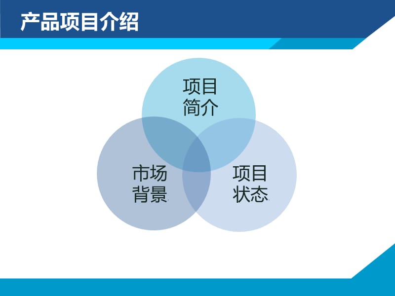 老年痴呆康复训练系统项目计划书.ppt_第3页