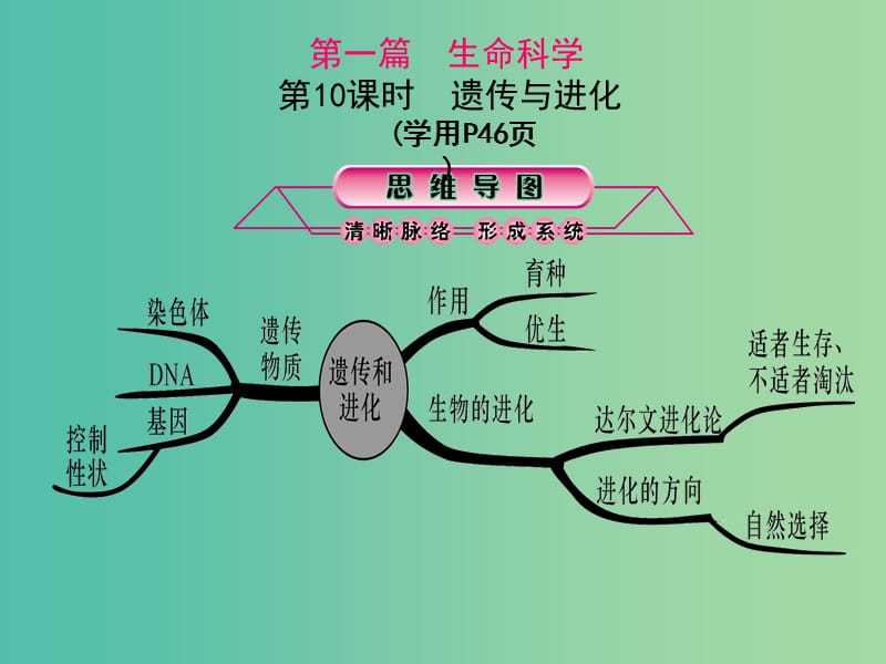 中考科学总复习 第10课时 遗传与进化课件.ppt_第1页