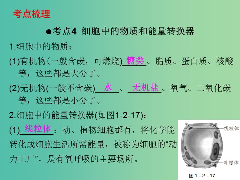 中考生物 第一部分 教材考点同步解析 第二单元 生物体的结构层次（第2课时）复习课件 新人教版.ppt_第2页