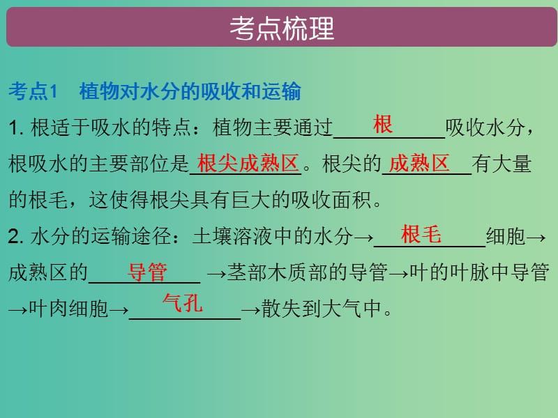 中考生物 第三单元 第三章 绿色植物与生物圈中的水循环复习课件.ppt_第2页