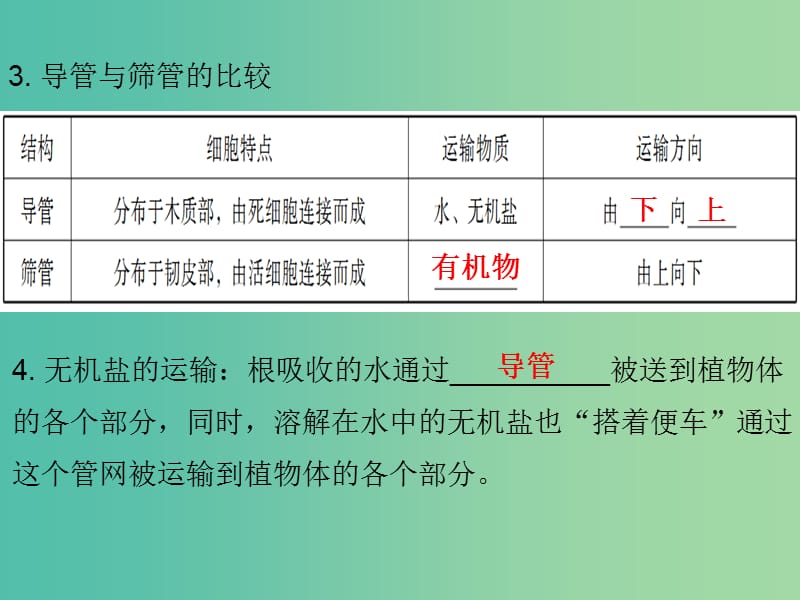 中考生物 第三单元 第三章 绿色植物与生物圈中的水循环复习课件.ppt_第3页