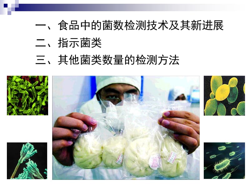 食品中微生物数量的检测技术与指示菌类.ppt_第2页