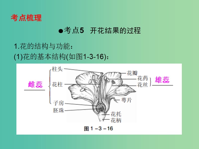 中考生物 第一部分 教材考点同步解析 第三单元 生物圈中的绿色植物（第2课时）复习课件 新人教版.ppt_第2页