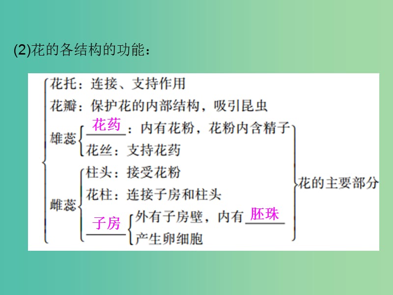 中考生物 第一部分 教材考点同步解析 第三单元 生物圈中的绿色植物（第2课时）复习课件 新人教版.ppt_第3页