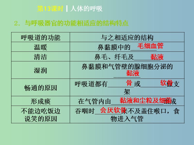 中考生物第四单元生物圈中的人第13课时人体的呼吸课件.ppt_第3页