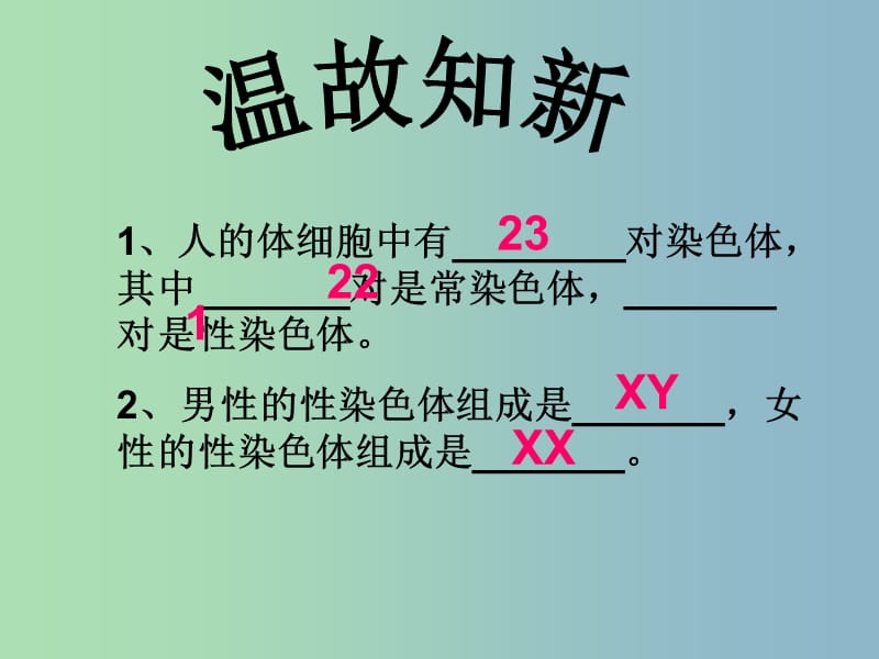 八年级生物下册《第七单元 第二章 第四节 人的性别遗传》课件 （新版）新人教版.ppt_第2页