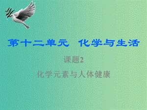 九年級化學下冊 12.2 化學元素與人體健康課件 （新版）新人教版.ppt