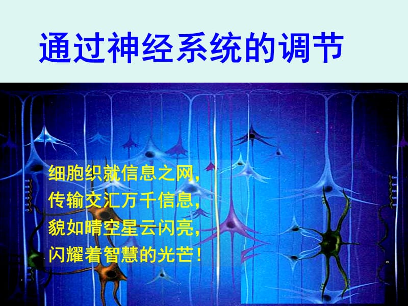 公开课通过神经系统的调节优质课ppt课件_第2页