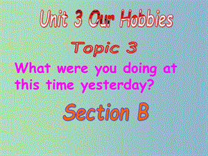 八年級英語上冊 Unit 3 Our Hobbies Topic 3 Section B課件 （新版）仁愛版.ppt