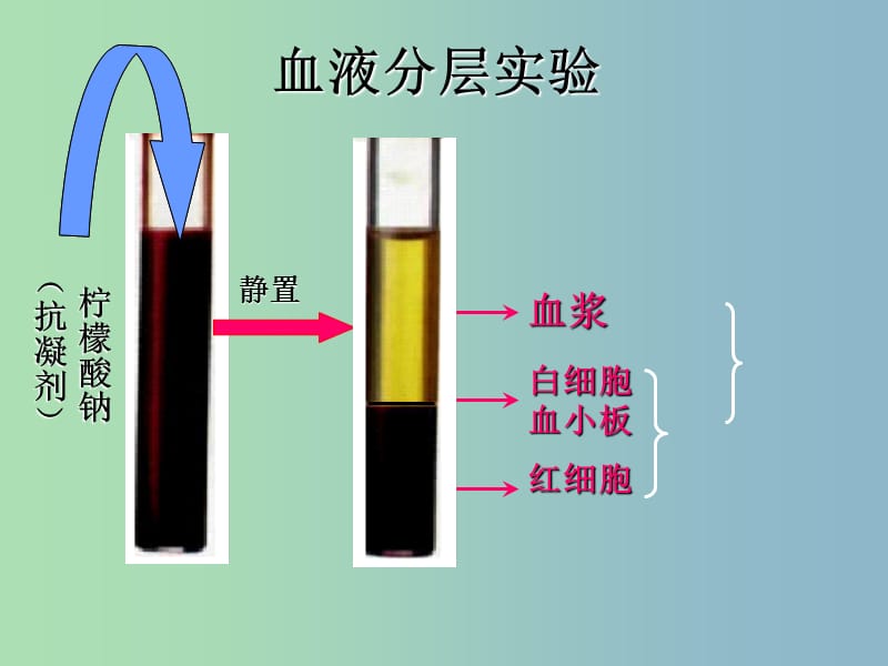 七年级生物下册第四单元第四章第一节流动的组织-血液课件2新版新人教版.ppt_第3页