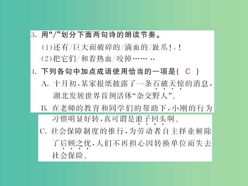 七年级语文下册 第六单元 28 华南虎课件 新人教版.ppt_第2页