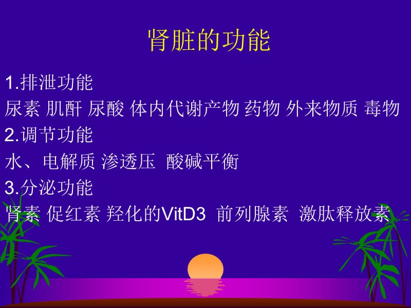 肾小管功能测定及临床意义.ppt_第3页