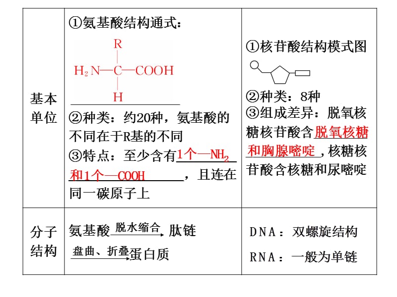 高中生物总复习：细胞的分子组成.ppt_第2页