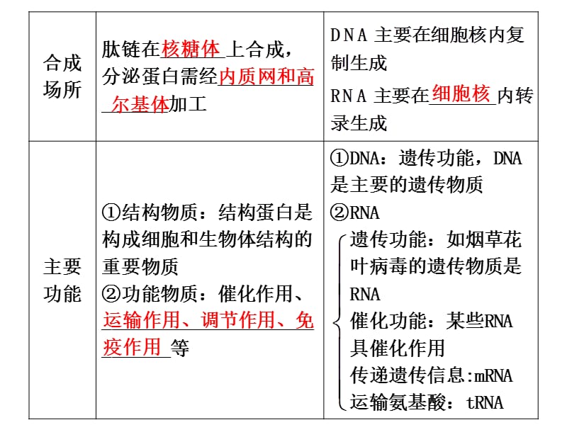 高中生物总复习：细胞的分子组成.ppt_第3页