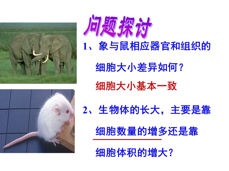 细胞的增殖公开课课件.ppt_第3页