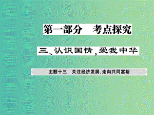 中考政治總復習 考點探究主題十三 關注經濟發(fā)展 走向共同富裕課件.ppt