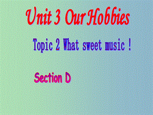 八年級英語上冊 Unit 3 Our Hobbies Topic 2 Section D課件 （新版）仁愛版.ppt