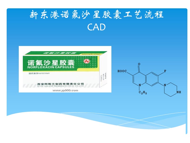 诺氟沙星生产工艺流程设计.ppt_第1页