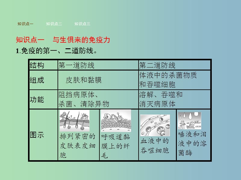 七年级生物下册3.6.1人体的免疫功能课件新版济南版.ppt_第2页