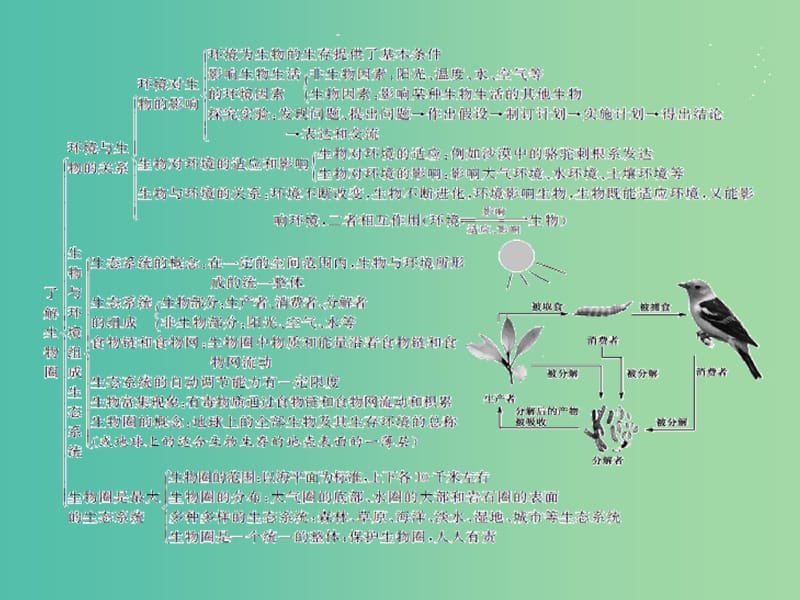 中考生物总复习 第一单元 第二章 了解生物圈习题课件 新人教版.ppt_第3页