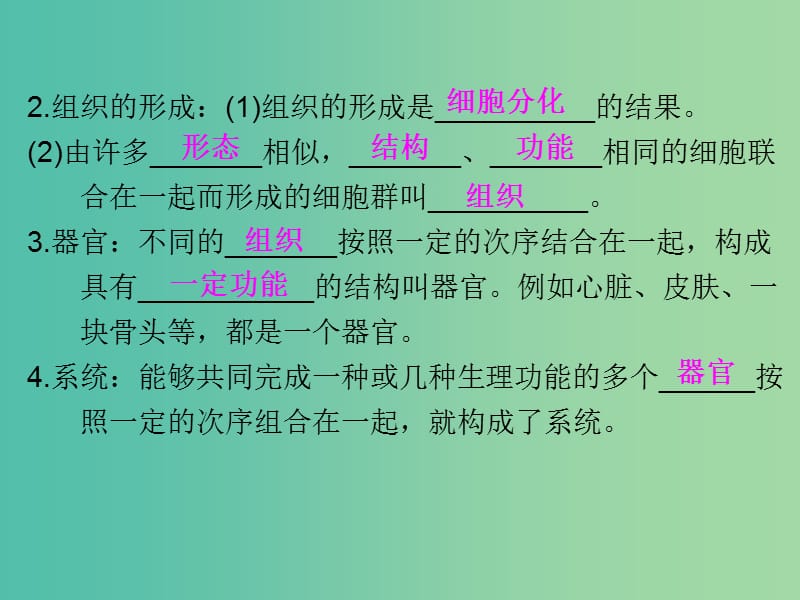 中考生物 第一部分 教材考点同步解析 第二单元 生物体的结构层次（第3课时）复习课件 新人教版.ppt_第3页