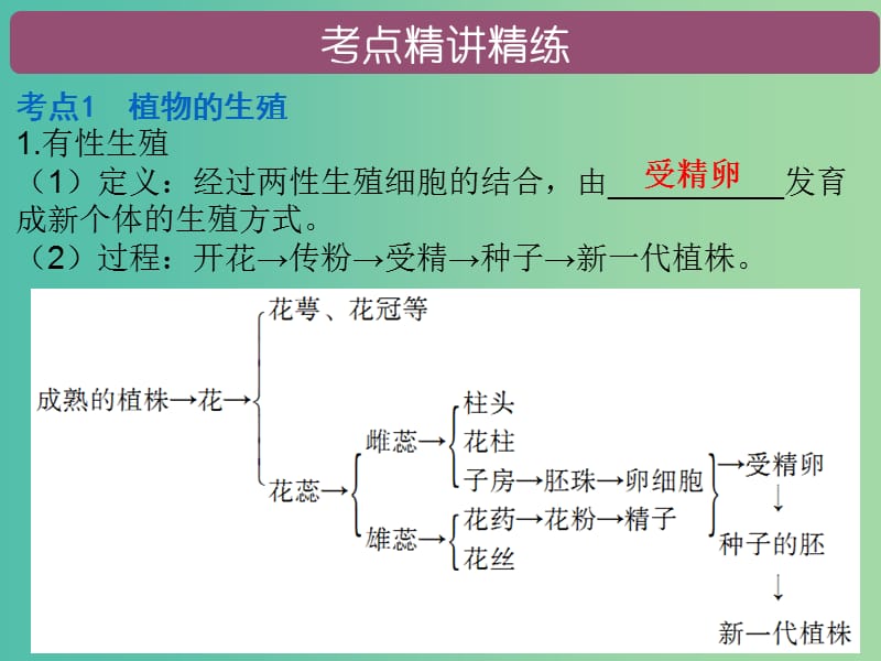 中考生物总复习 第七单元 第一章 生物的生殖和发育课件.ppt_第2页