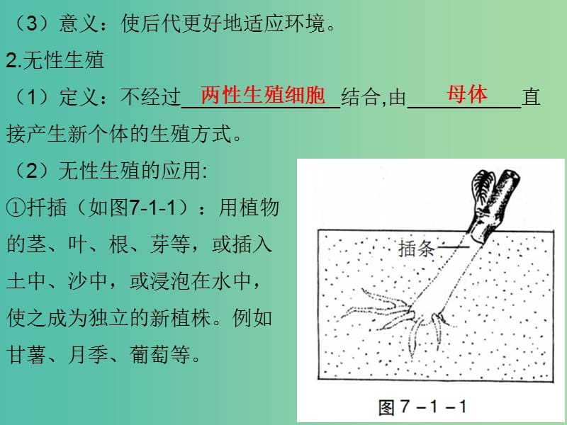 中考生物总复习 第七单元 第一章 生物的生殖和发育课件.ppt_第3页