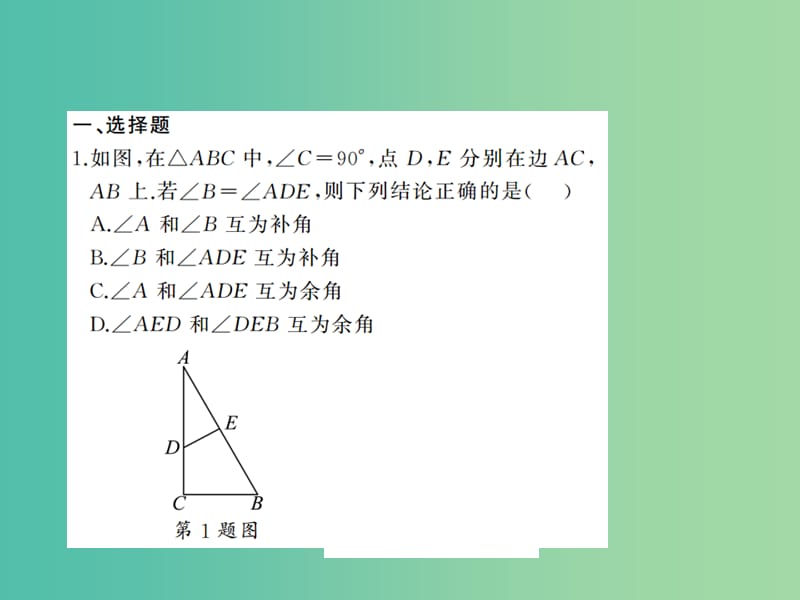 中考数学考点总复习 综合集训4 三角形课件 新人教版.ppt_第2页