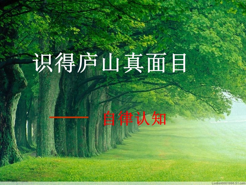 行为自律主题班会.ppt_第3页