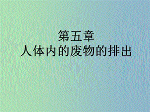 七年級生物下冊第四單元第五章人體內(nèi)廢物的排出課件1新版新人教版.ppt