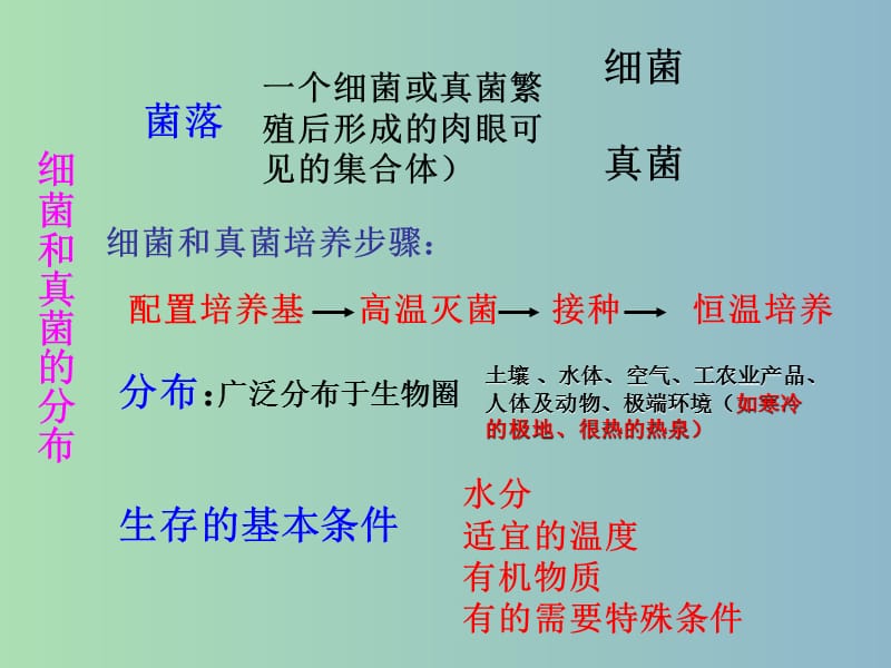 八年级生物上册 第五单元 第四章 细菌和真菌复习课件 （新版）新人教版.ppt_第3页