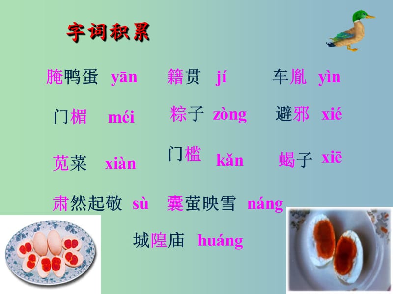 八年级语文下册 17 端午的鸭蛋课件1 新人教版.ppt_第2页