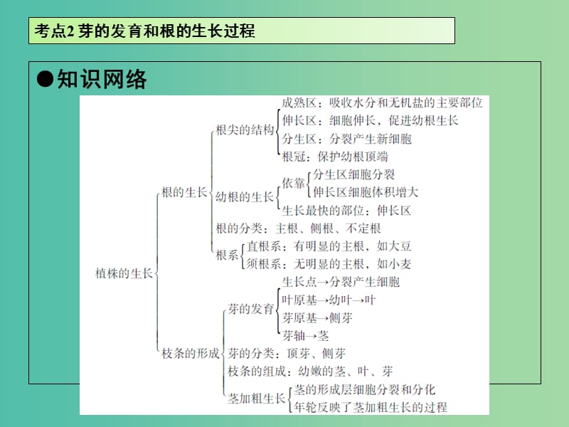 中考生物 第3单元 考点2 芽的发育和根的生长过程课件 新人教版.ppt_第2页