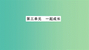 中考政治 教材系統(tǒng)總復(fù)習(xí) 七下 第三單元 一起成長課件 人民版.ppt