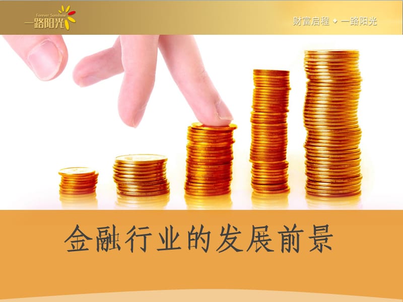 金融行业的发展前景.ppt_第1页