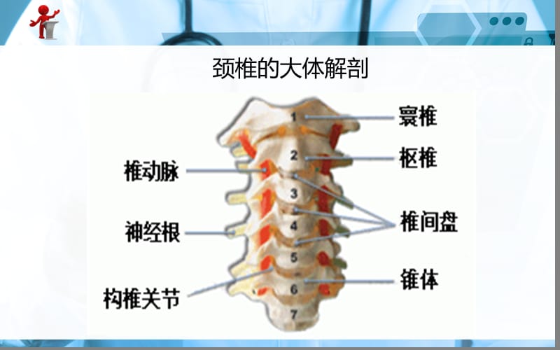 外科护理第二十章第五节颈肩痛与腰腿痛病人的护理ppt课件_第3页