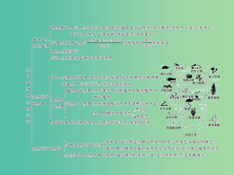 中考生物总复习 第七单元 第三章 生命起源和生物进化习题课件 新人教版.ppt_第3页