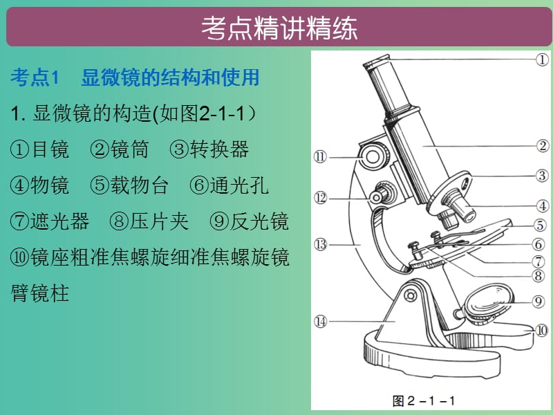 中考生物总复习 第二单元 第一章 细胞是生命活动的基本单位课件.ppt_第2页