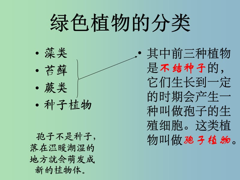 七年级生物上册《3.1.1 藻类、苔藓和蕨类植物》课件 （新版）新人教版.ppt_第2页