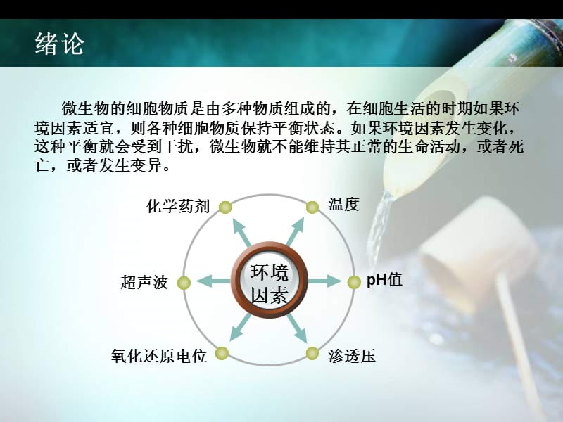 pH对微生物的影响.ppt_第2页