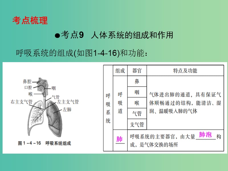 中考生物 第一部分 教材考点同步解析 第四单元 生物圈中的人（第3课时）复习课件 新人教版.ppt_第2页