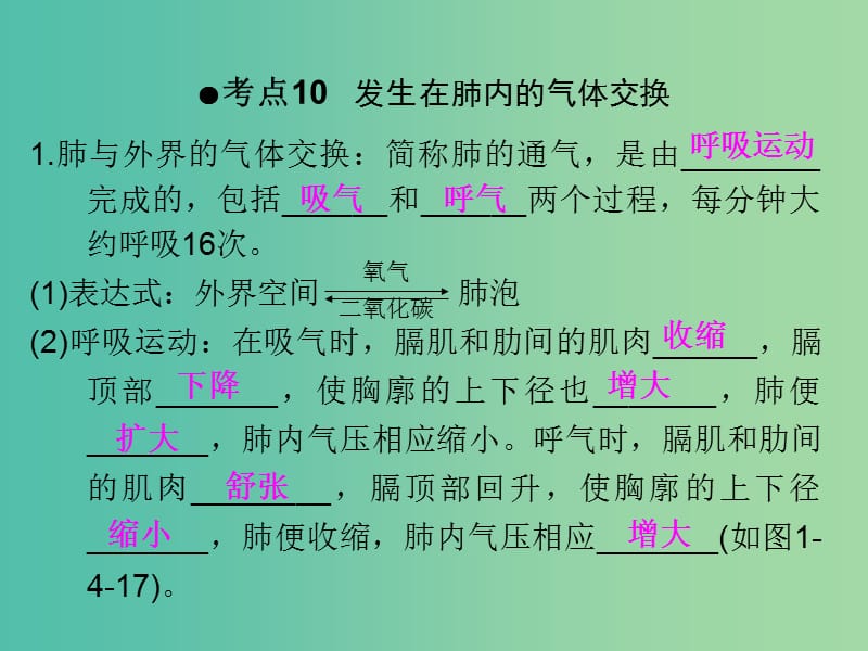 中考生物 第一部分 教材考点同步解析 第四单元 生物圈中的人（第3课时）复习课件 新人教版.ppt_第3页