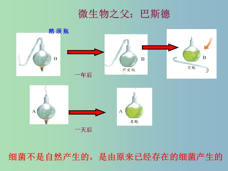 八年级生物上册 5.4.2 细菌课件 （新版）新人教版.ppt_第3页